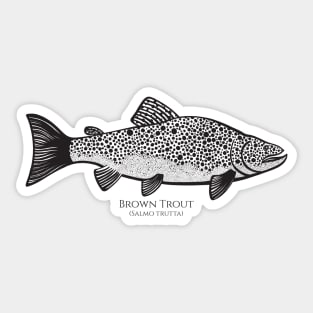 Brown Trout with Common and Latin Names - on light colors Sticker